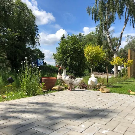 Malte Buesch Apartmán Barlt